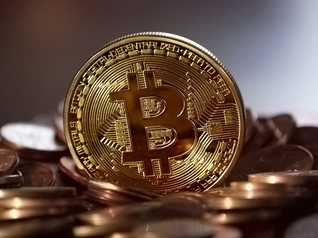 i siti di investimento di bitcoin genuino bcc btc tradingvisualizza